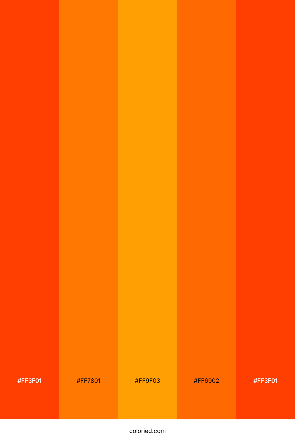 Neon Orange And Tangerine Color Palette