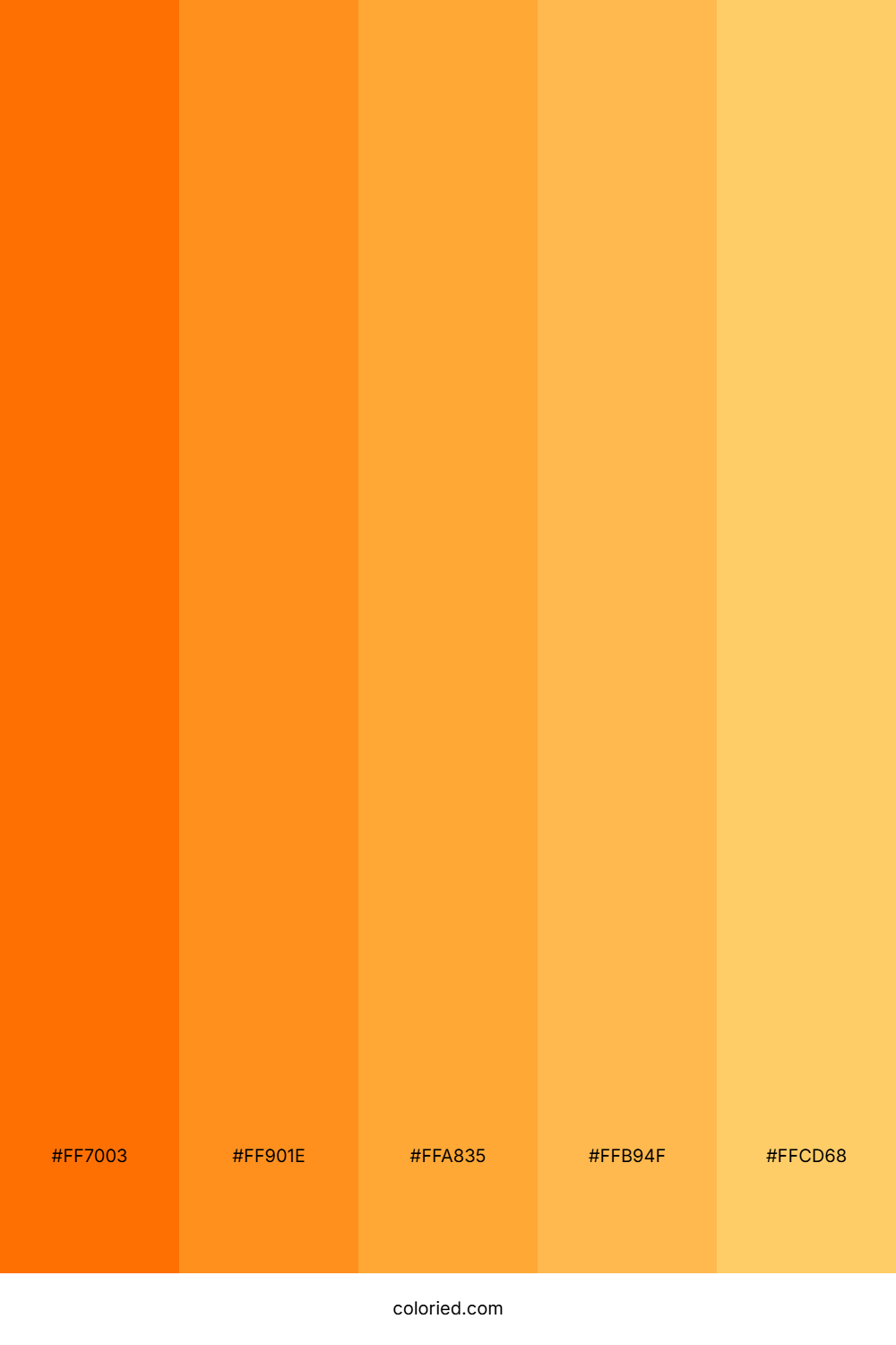 Neon Orange Light Color Palette