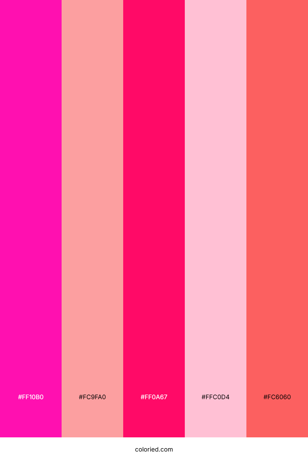 Neon Pink and Flamingo Color Palette
