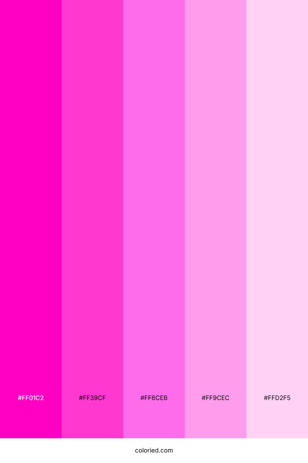 Neon Pink Bloom Color Palette