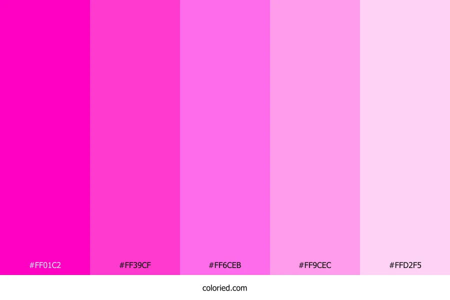 Neon Pink Bloom Color Palette