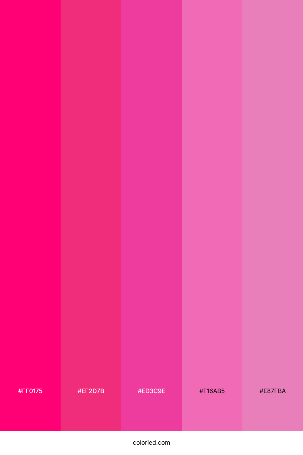 Neon Pink Burst Color Palette