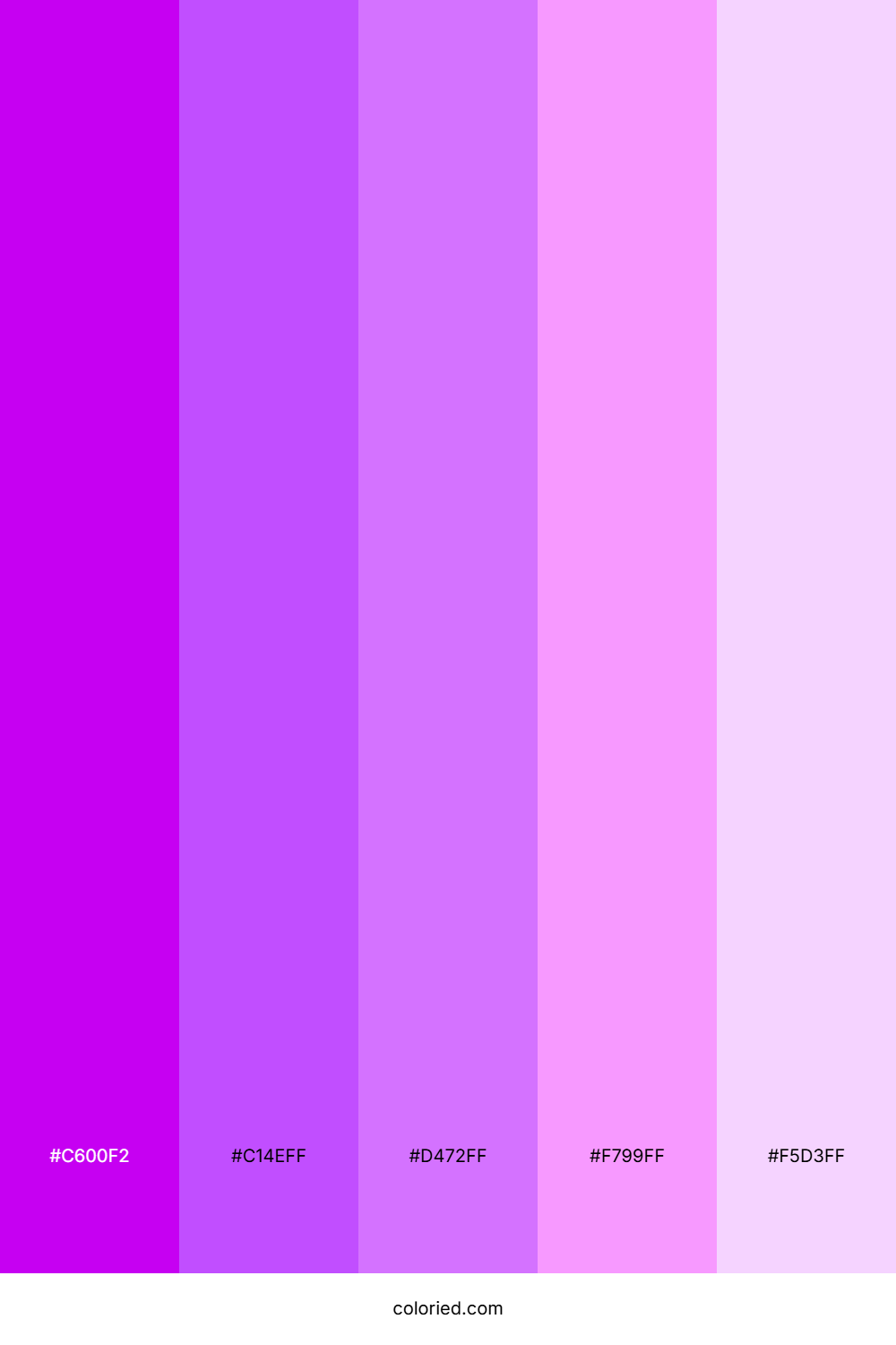 Neon Purple and Orchid Color Palette