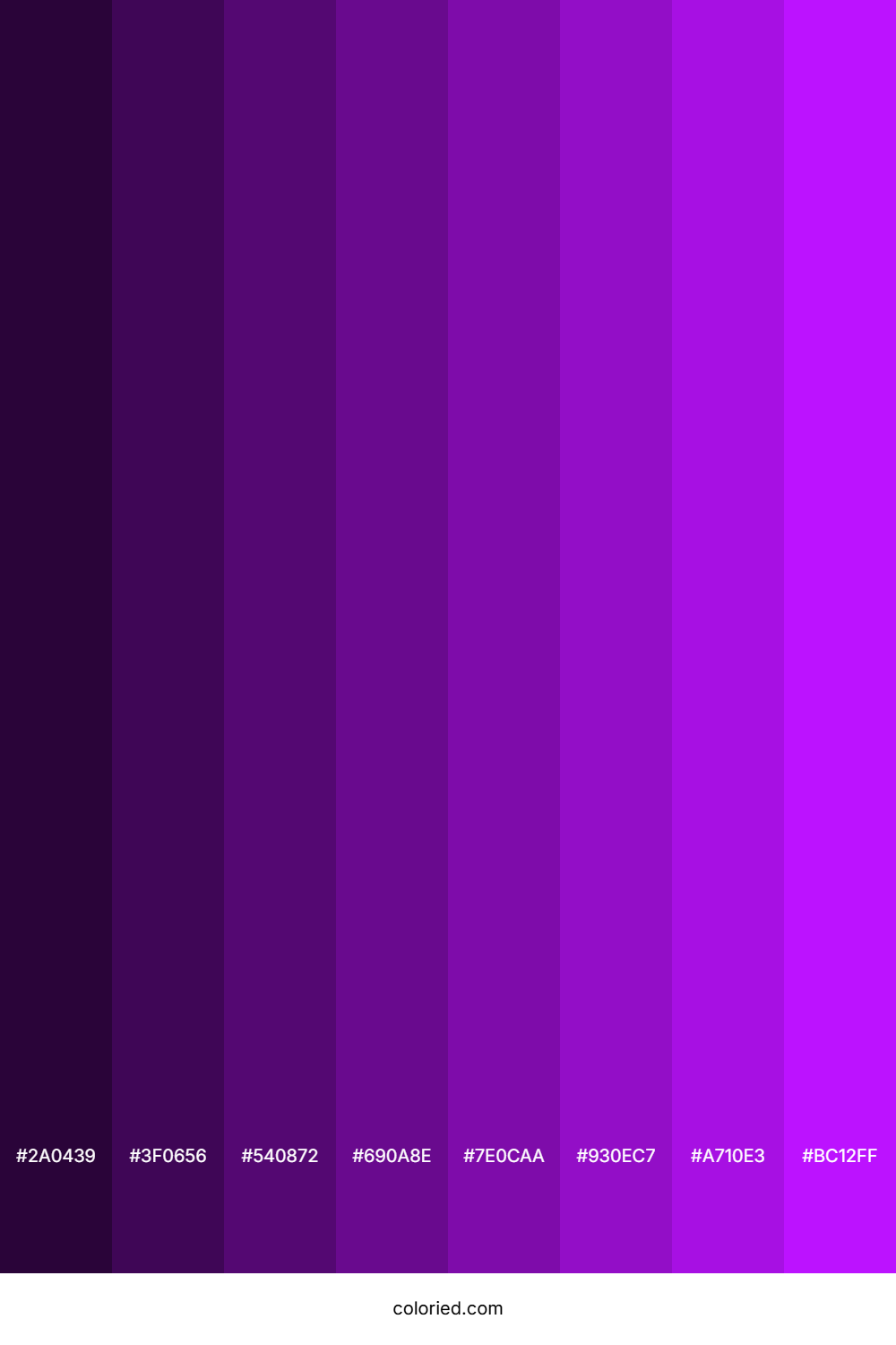 Neon Purple Color Shades