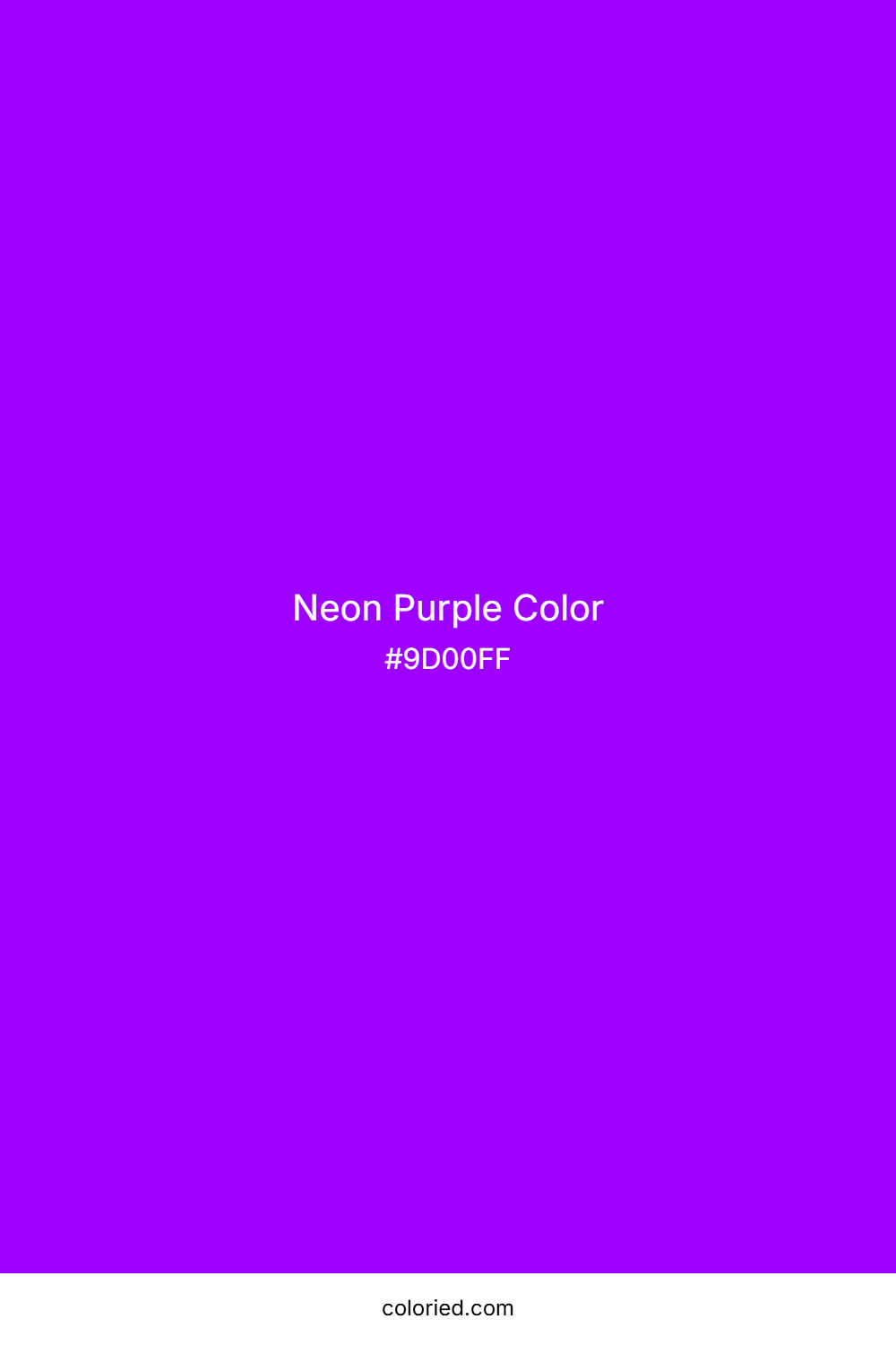 Neon Purple Color