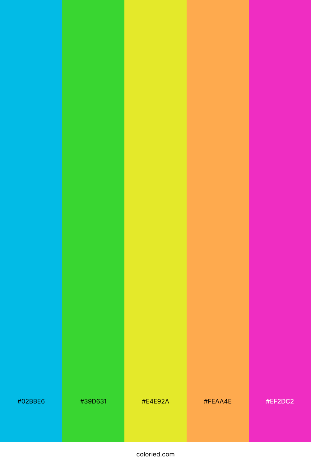Neon Rainbow Carnival Color Palette