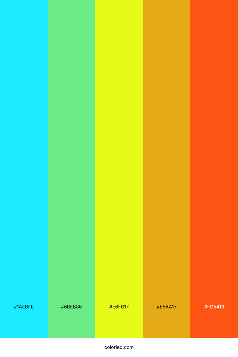 Neon Rainbow Jungle Color Palette