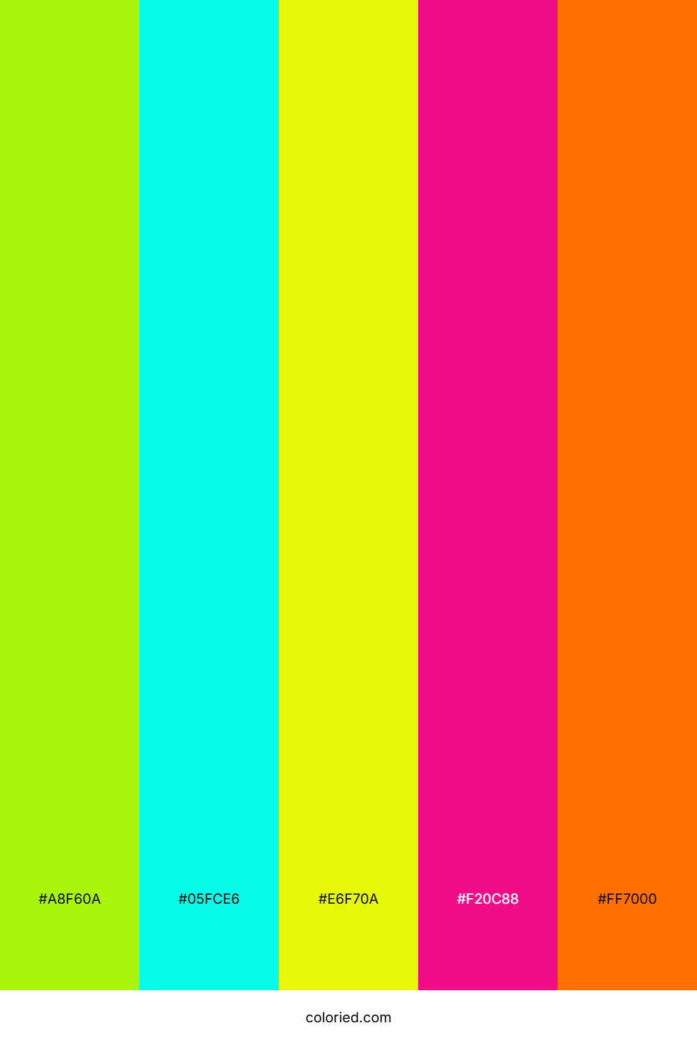 Neon Summer Pop Color Palette