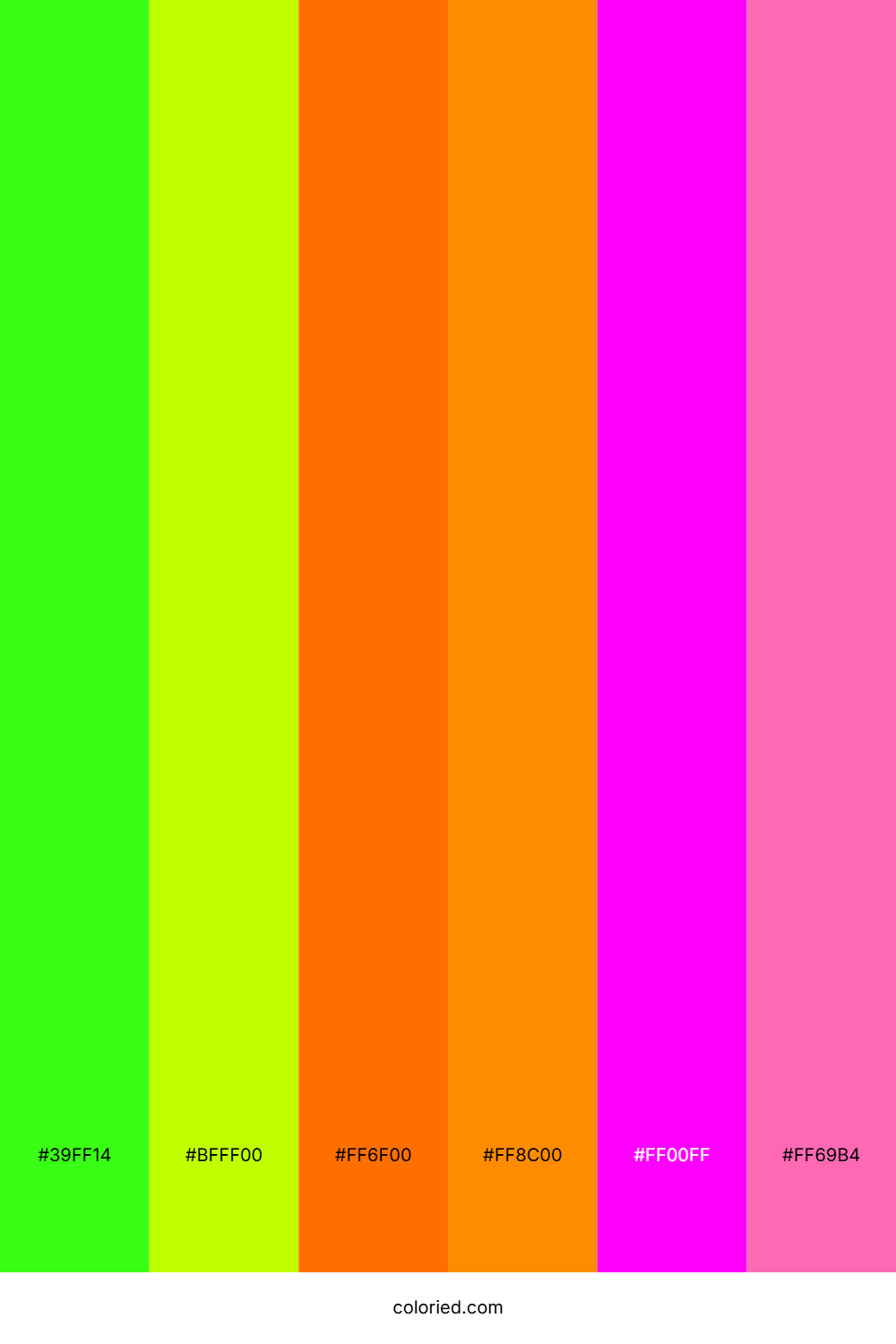 Neon Sunset Fuchsia Palette