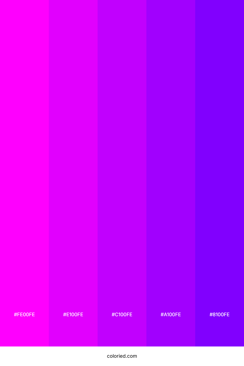 Neon Violet Dream Color Palette