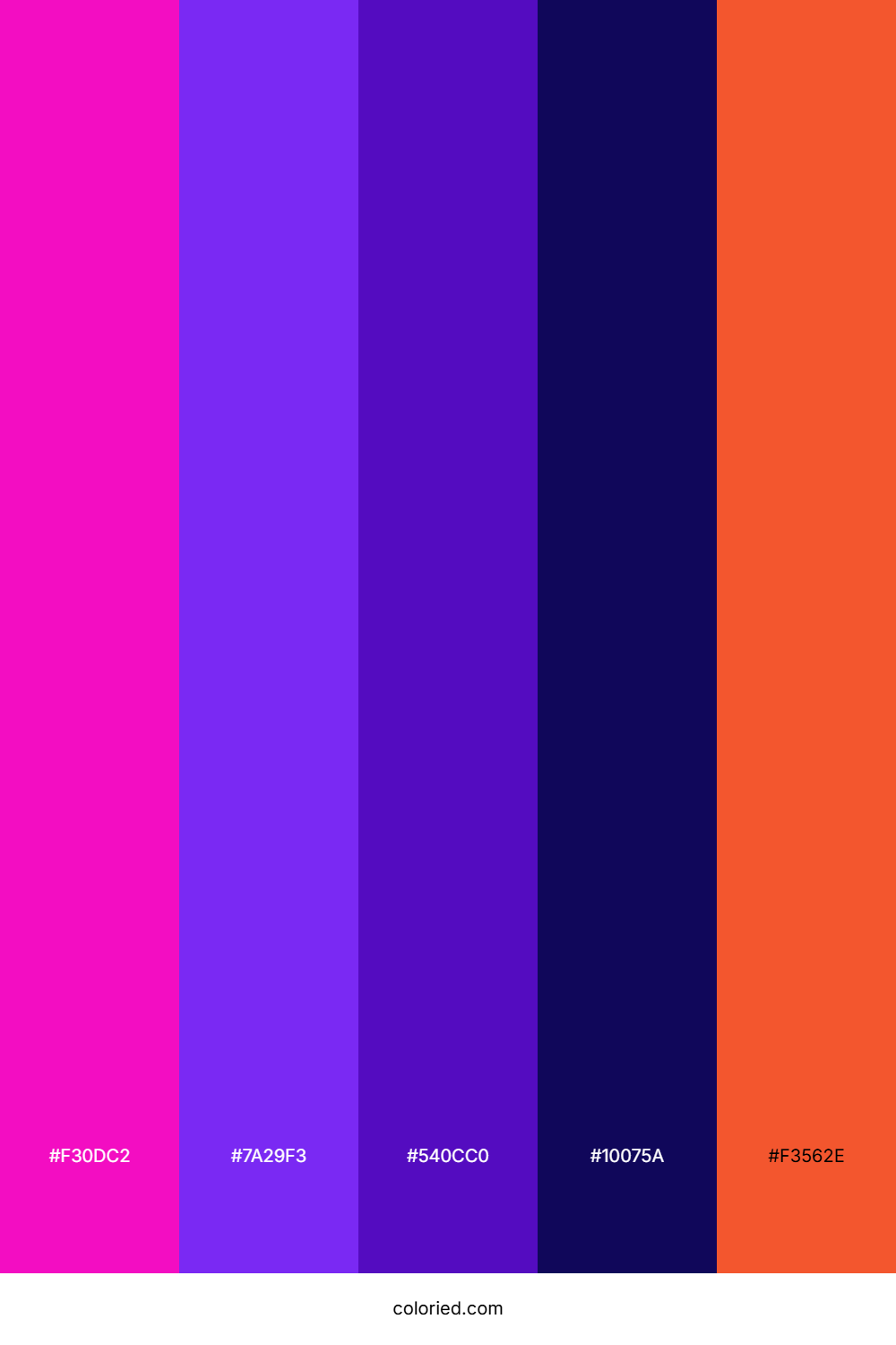 Neon Violet Night Color Palette