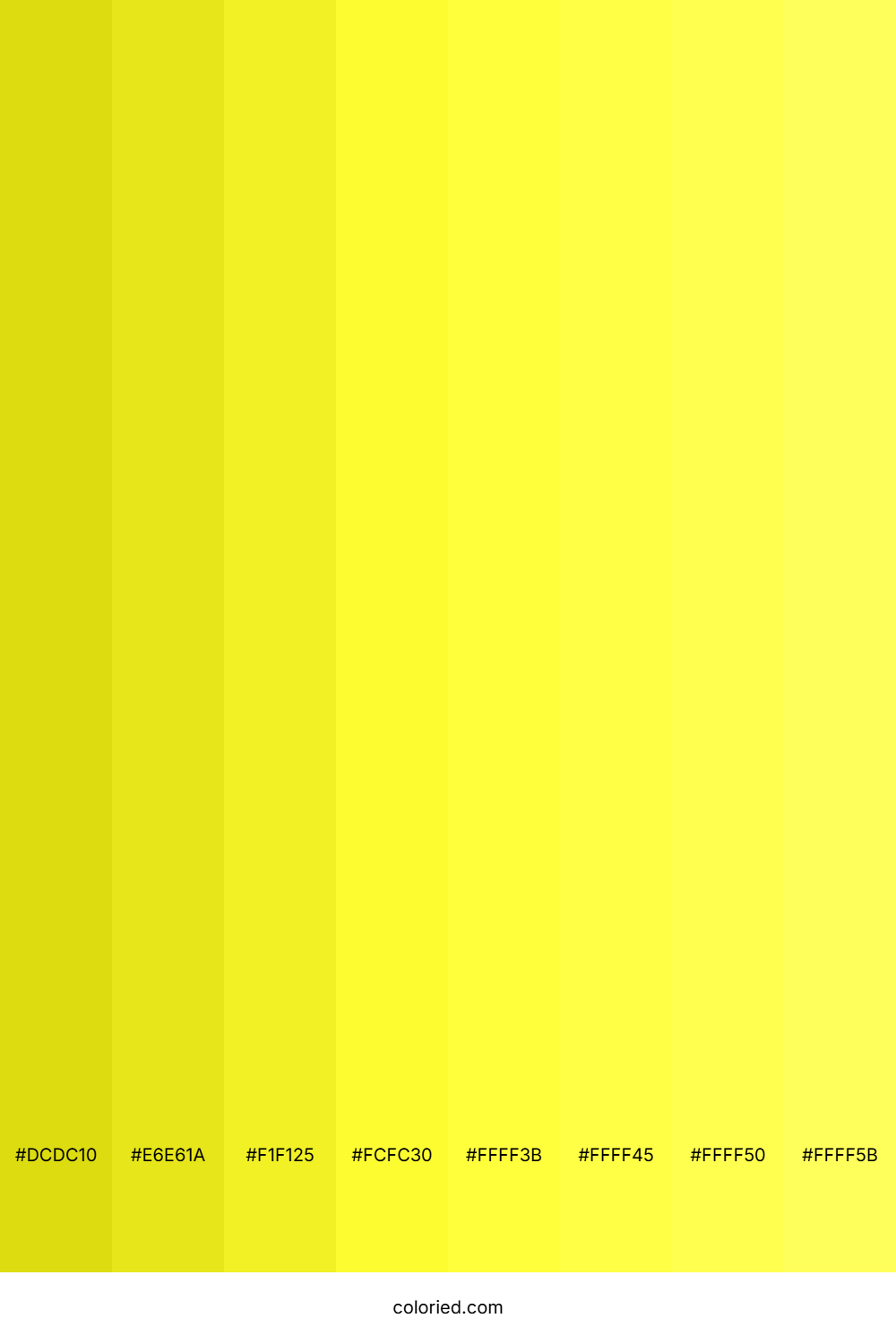 Neon Yellow Shades
