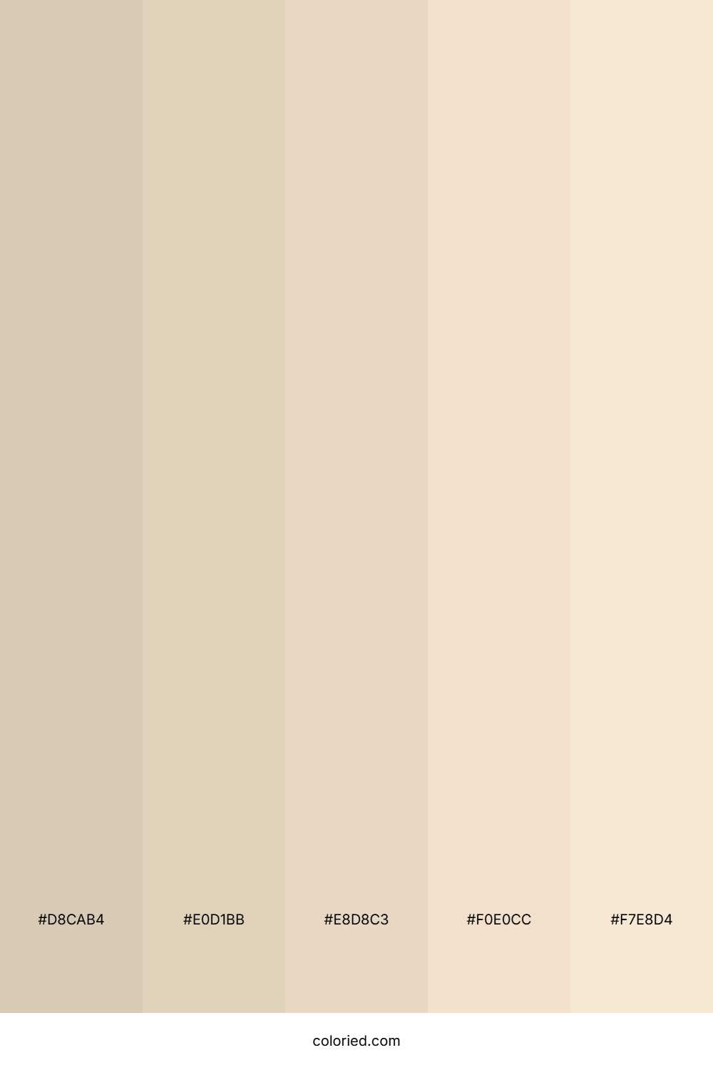 Neutral Beige Color Palette