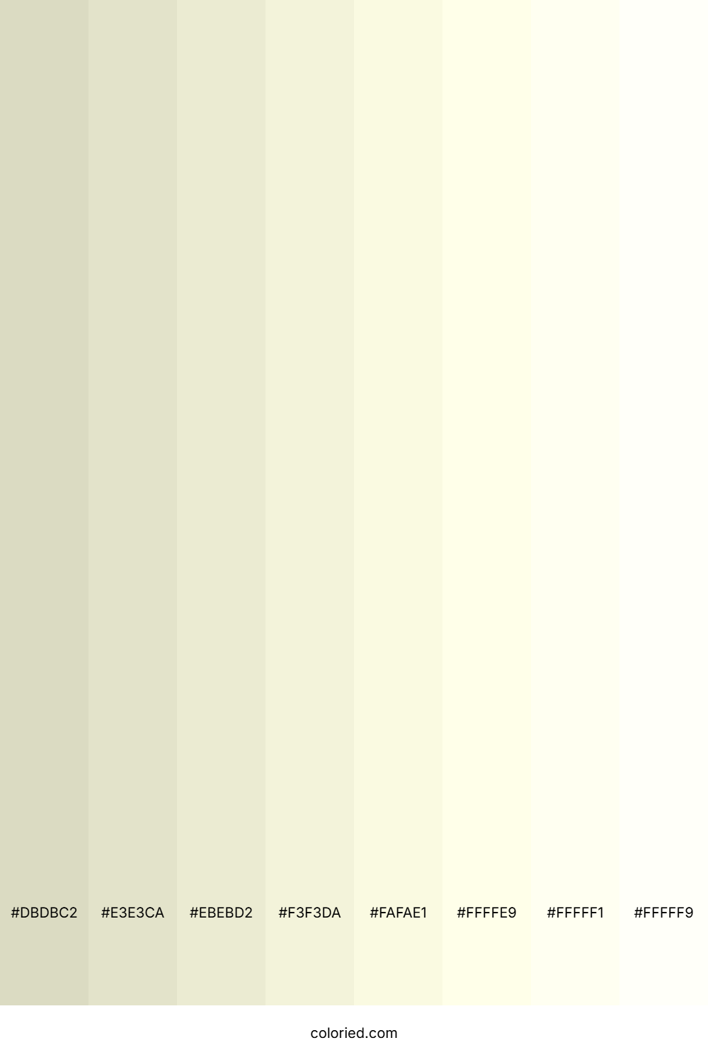 Neutral Beige Shades