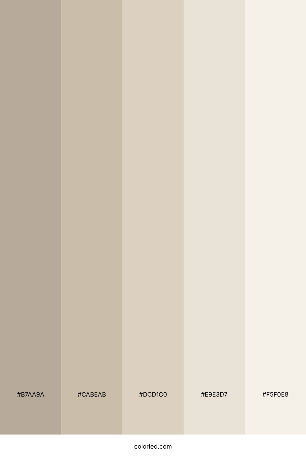 Neutral Gradient Color Palette