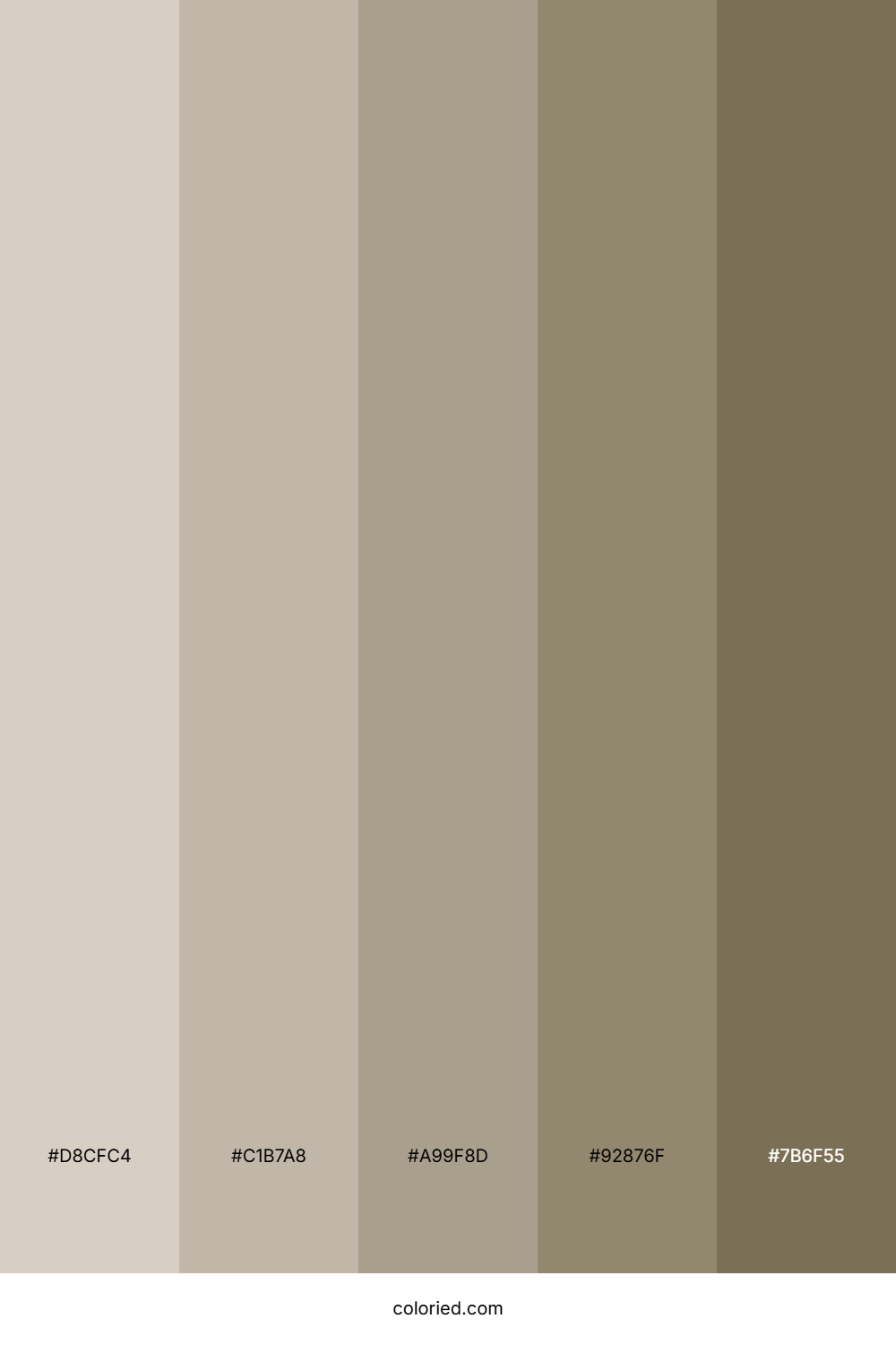 Neutral Grey Brown Color Palette