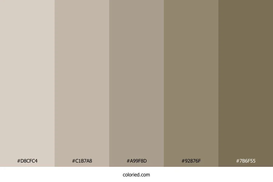 Neutral Grey Brown Color Palette