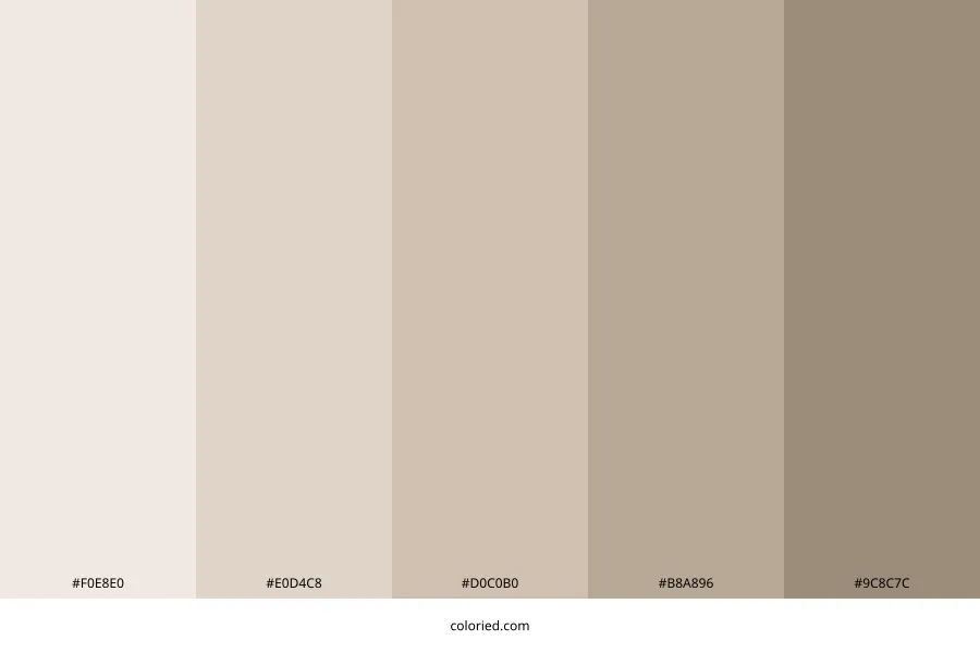 Neutral Warm Color Palette