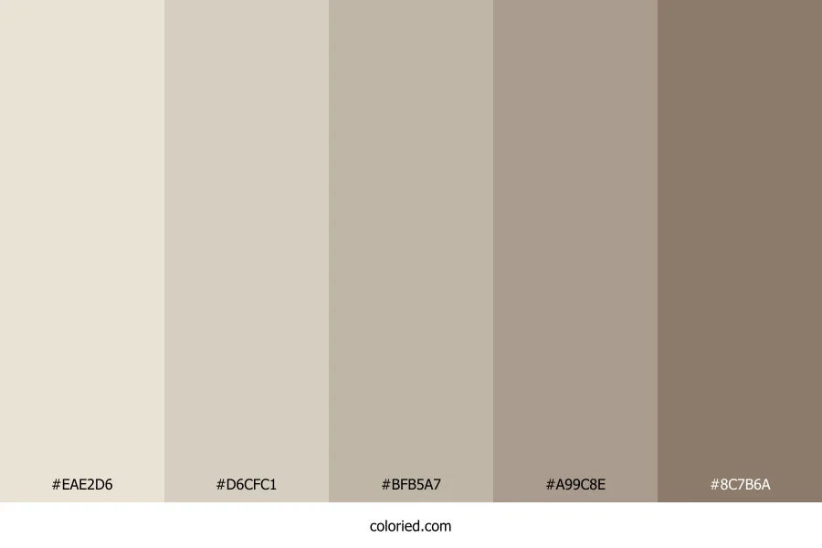 Neutrals Aesthetic Color Palette