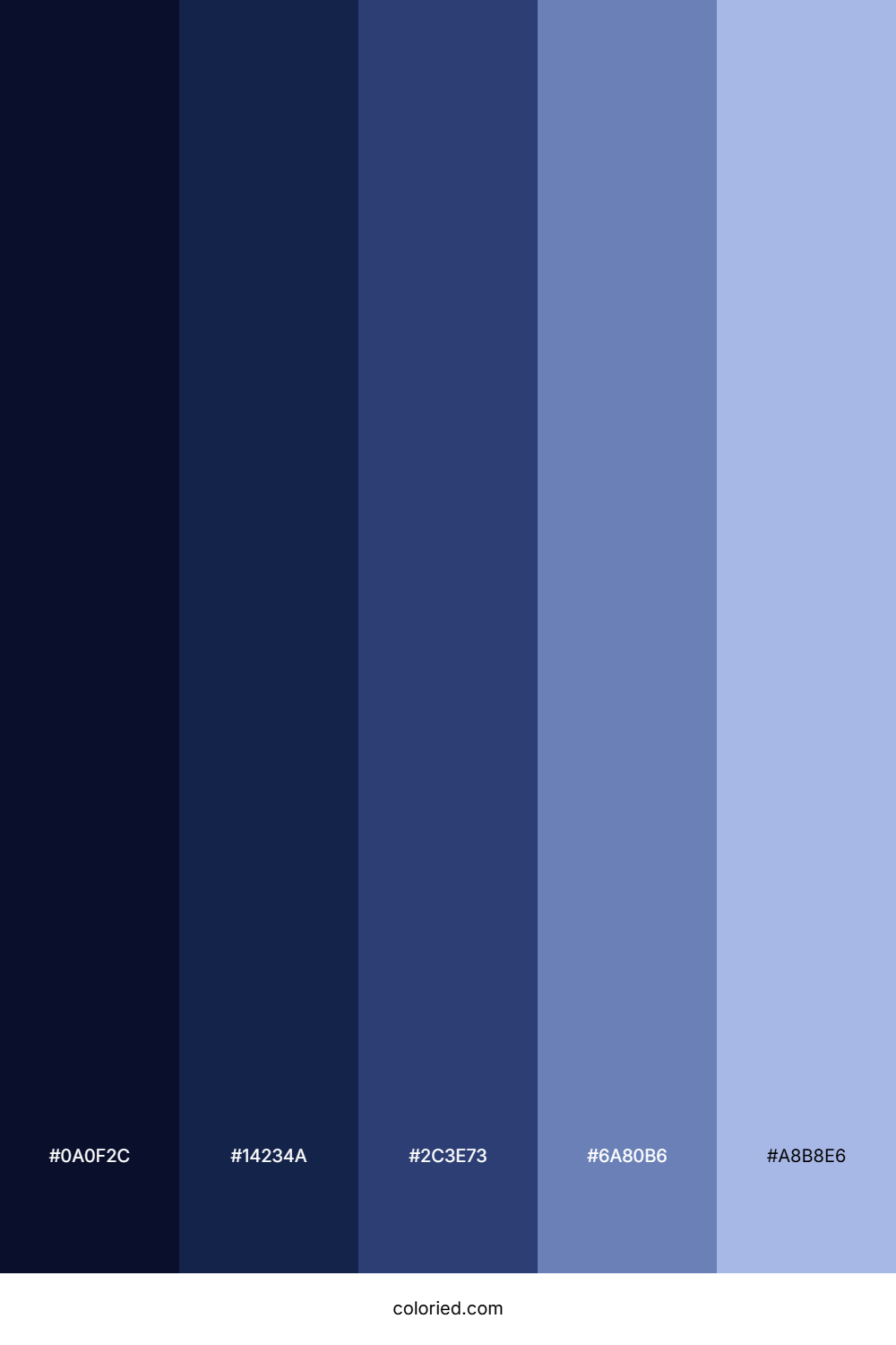 Night Sky Color Palette