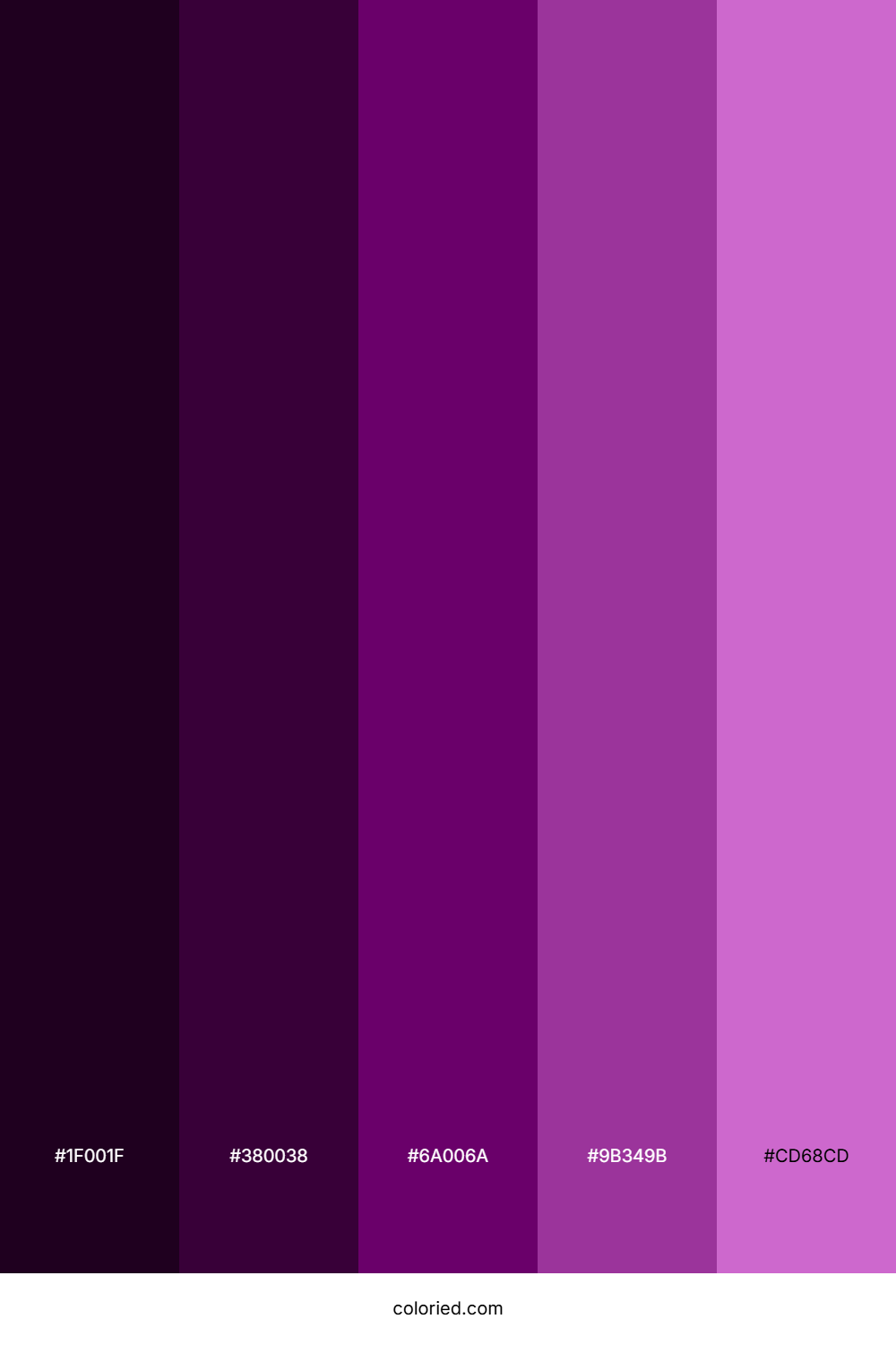 Nightshade Color Palette