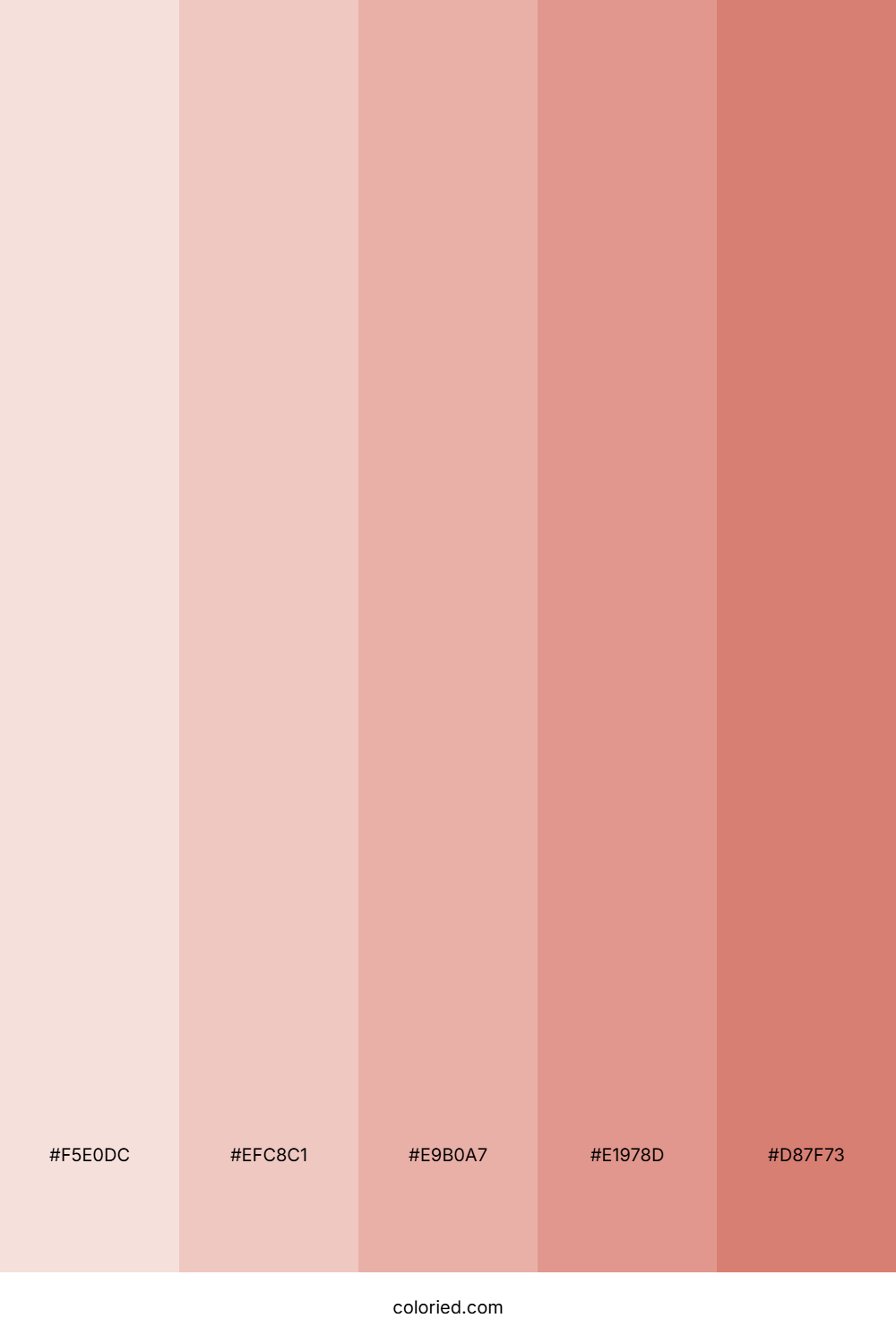 Nude and Pink Color Palette