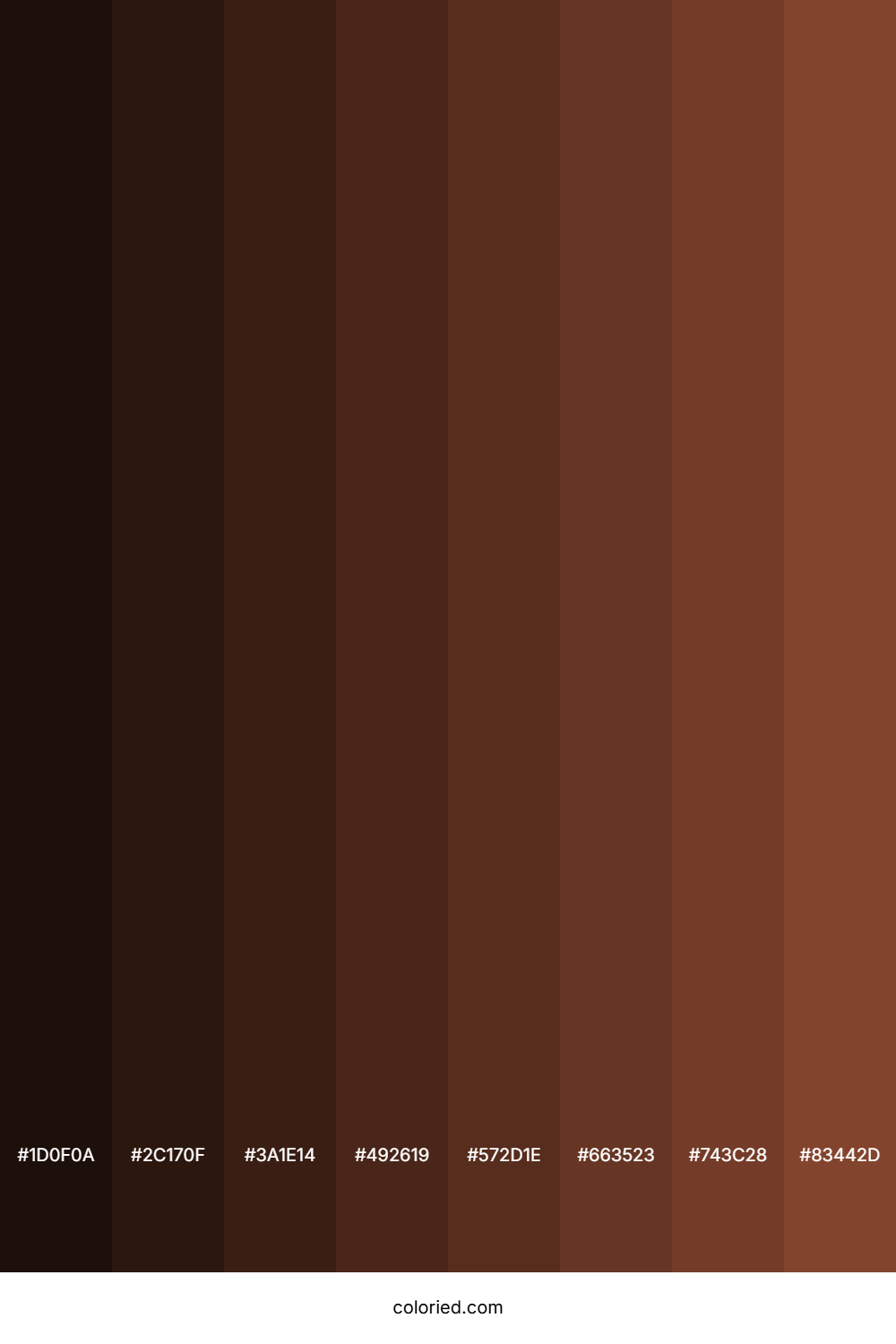 Nutmeg Color Shades