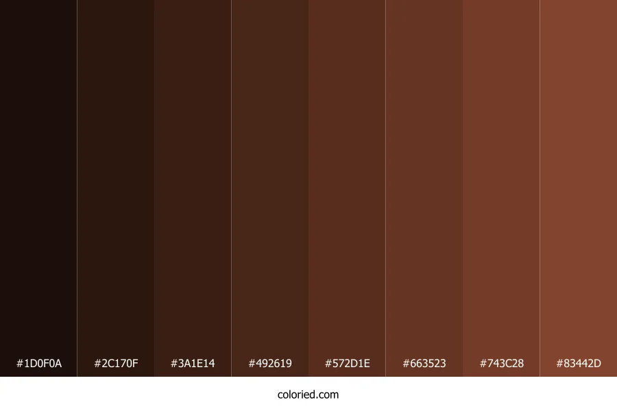 Nutmeg Color Shades