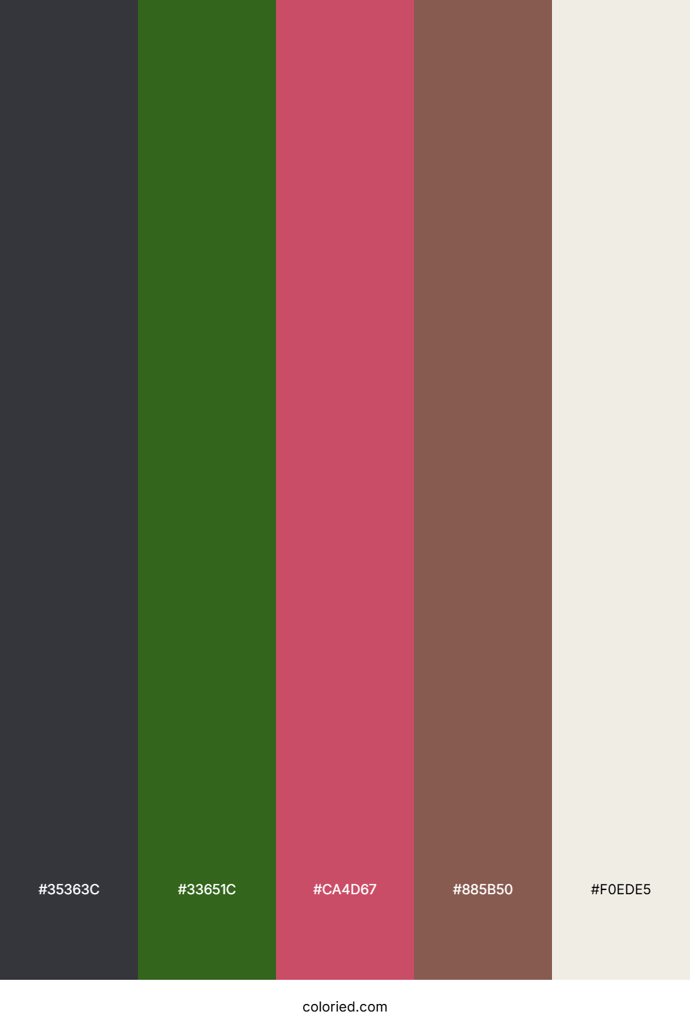 Obsidian Fern Bloom Color Palette