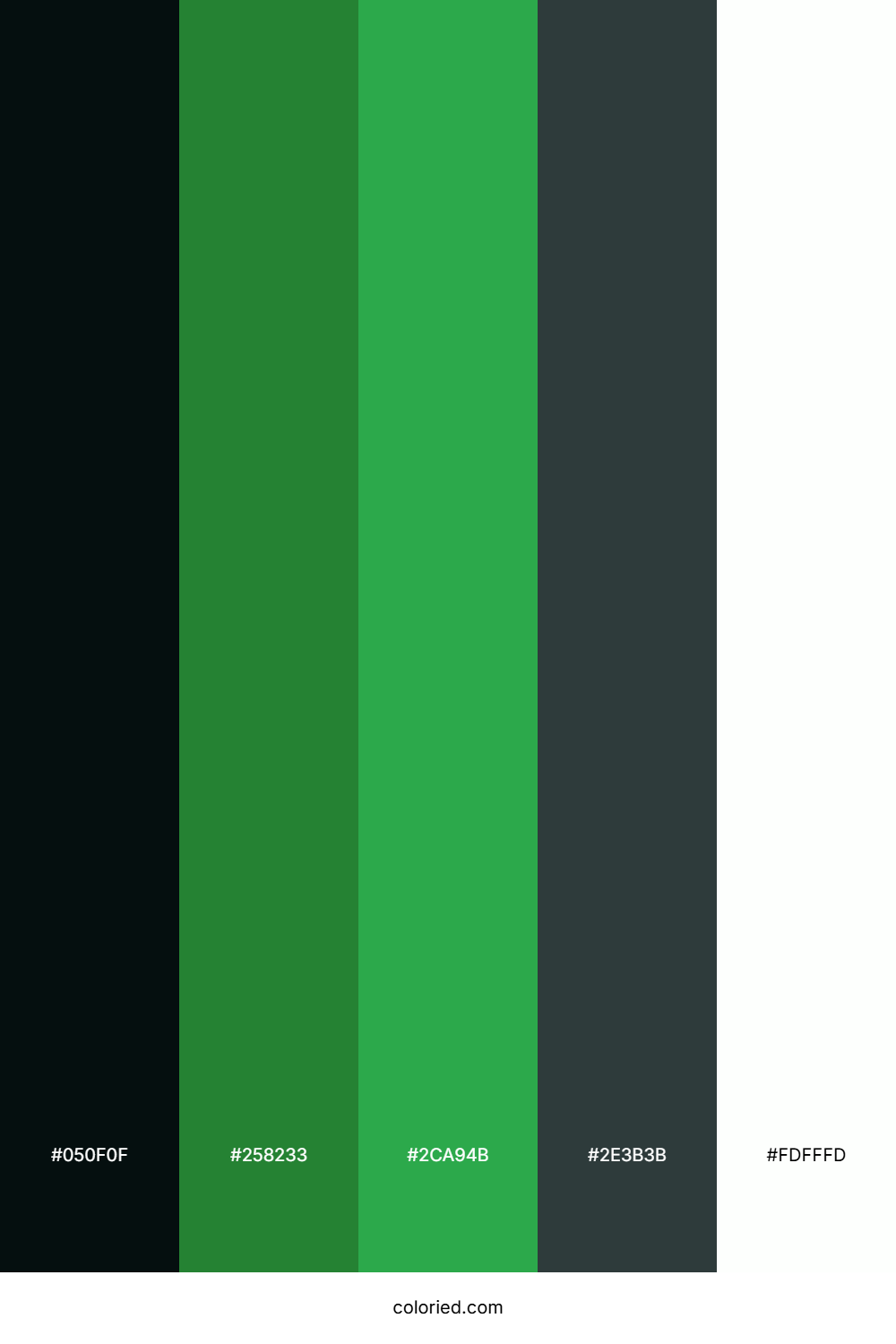 Obsidian Green Drift Palette