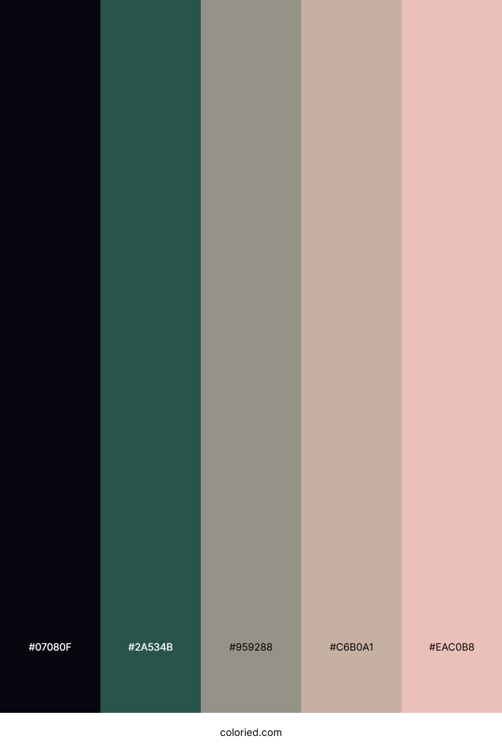Obsidian Mist Veil Color Palette