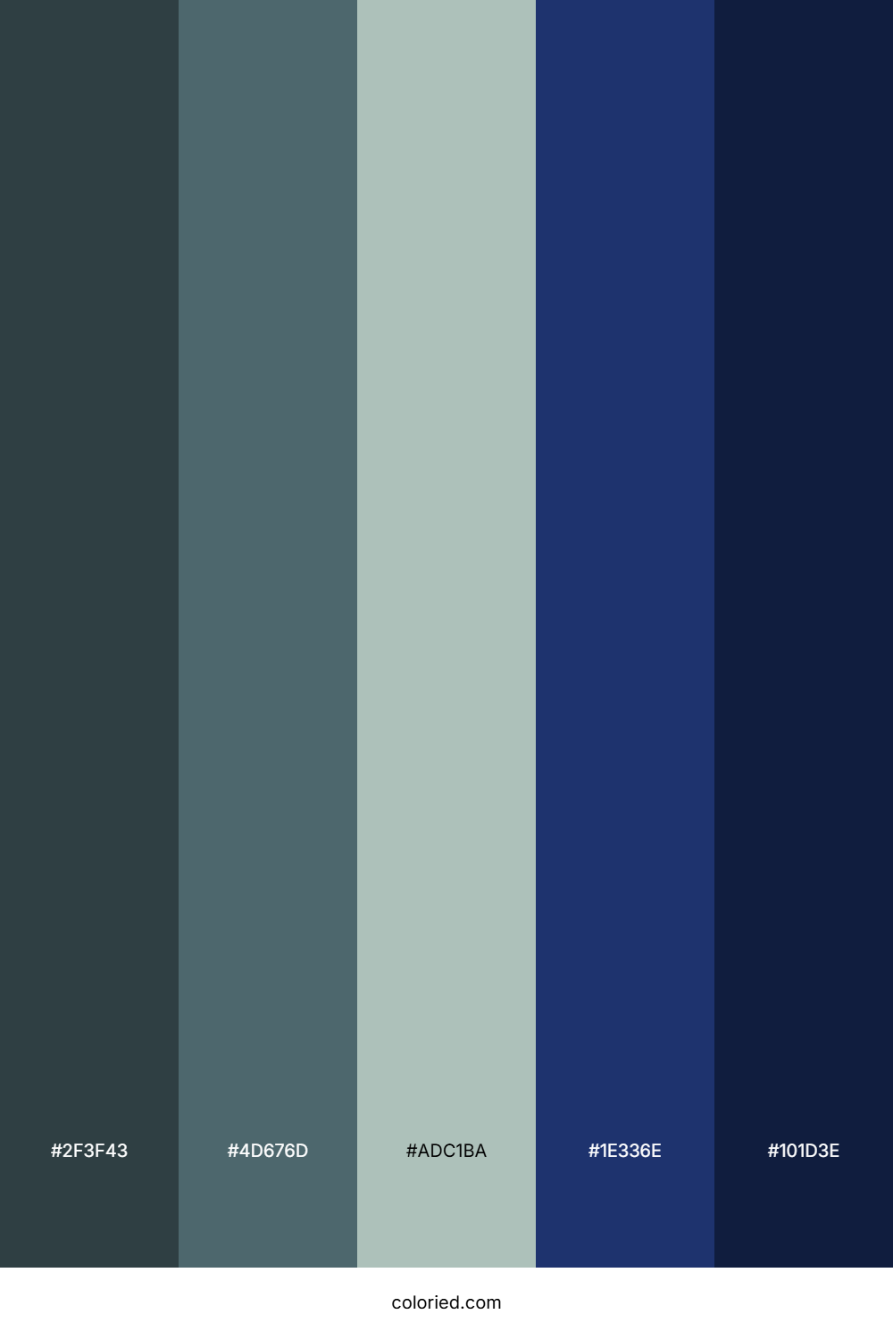 Obsidian Moonlight Drift Color Palette