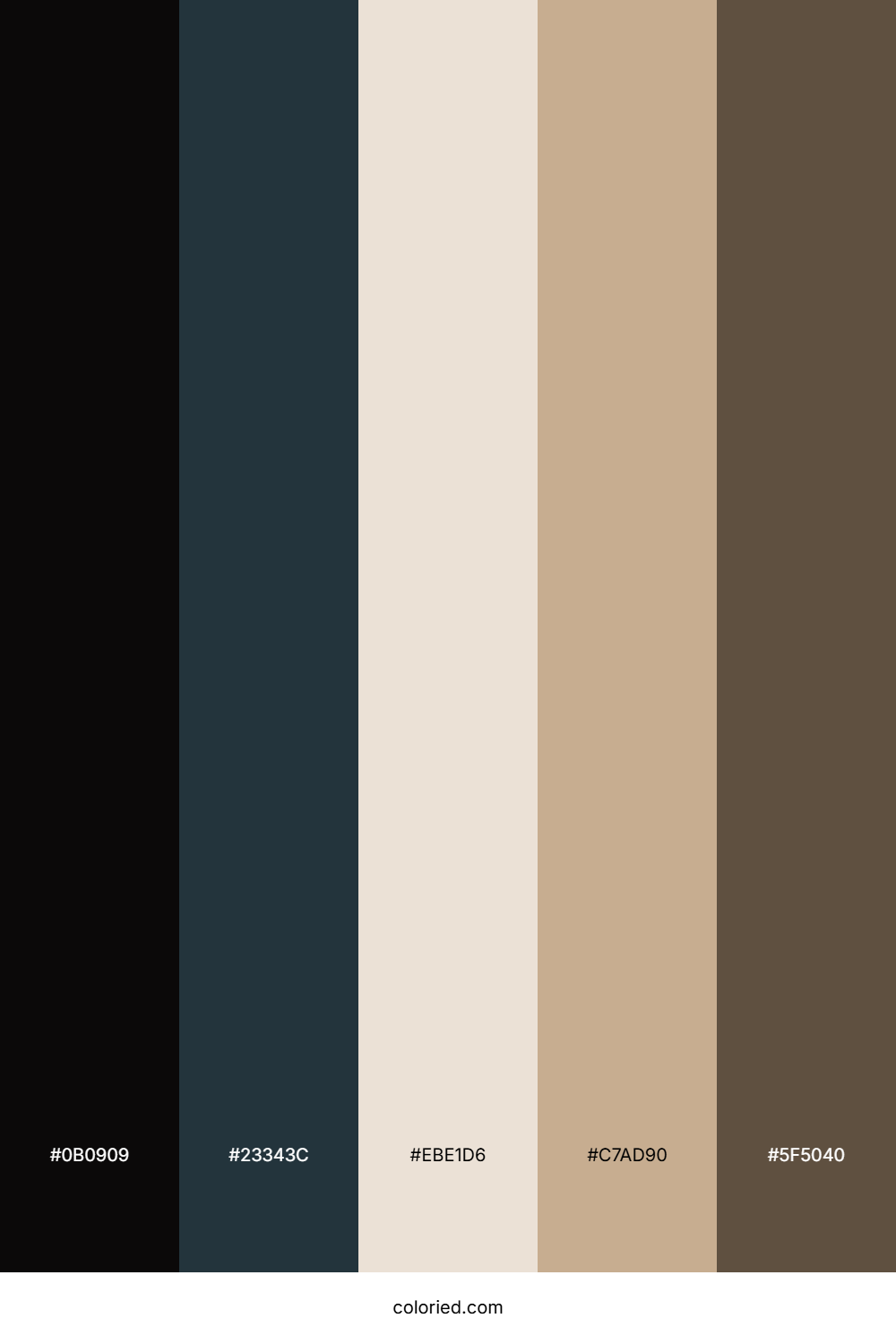 Obsidian Pine Shadow Color Palette