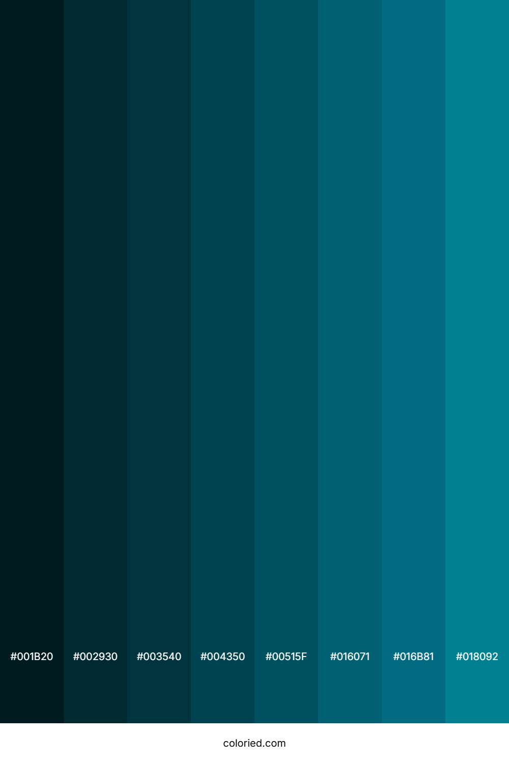 Ocean Color Shades