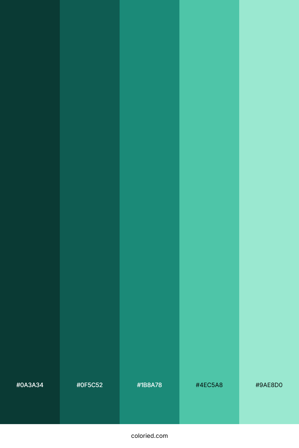 Ocean Green Color Palette