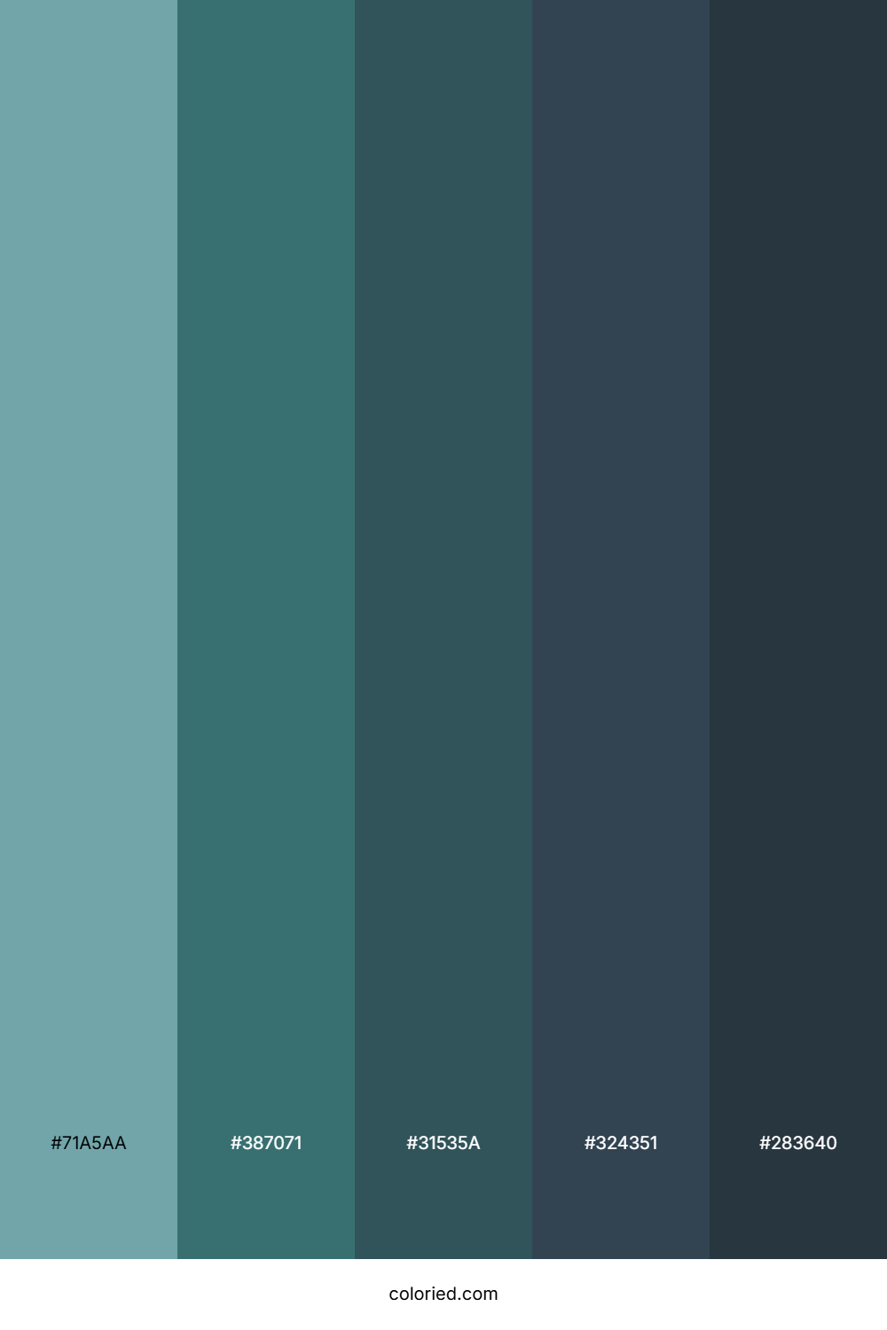 Ocean Mist Teal Color Palette