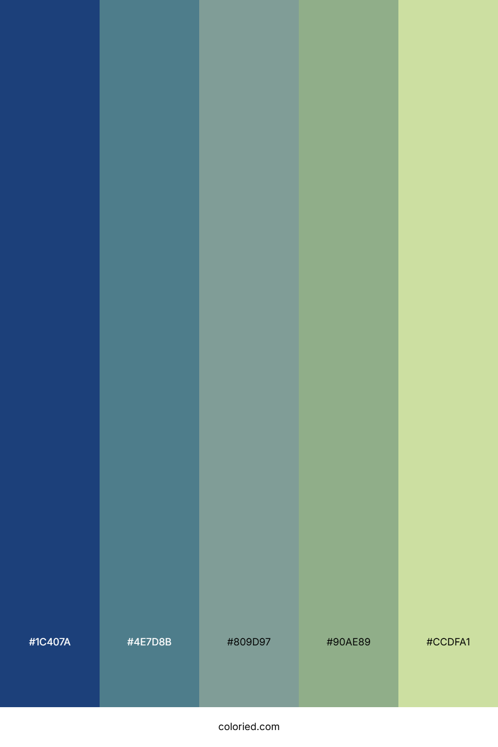 Ocean Moss Horizon Palette