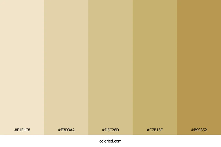 Ocean Sand Color Palette