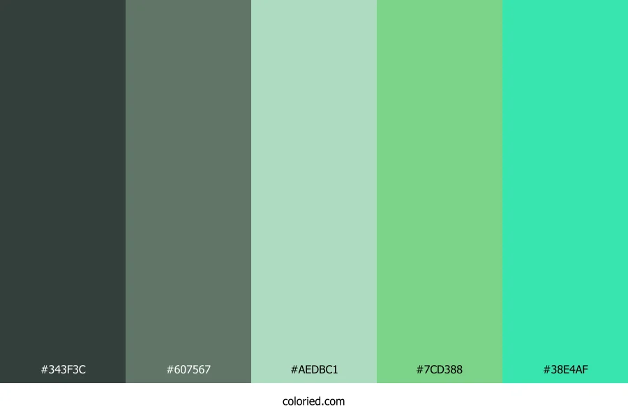 Ocean Tide Moss Color Palette