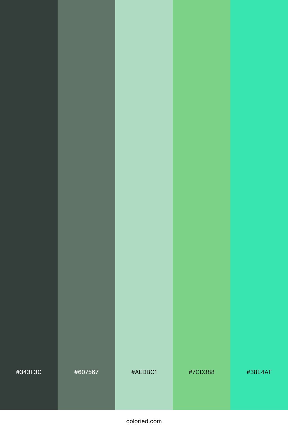 Ocean Tide Moss Palette