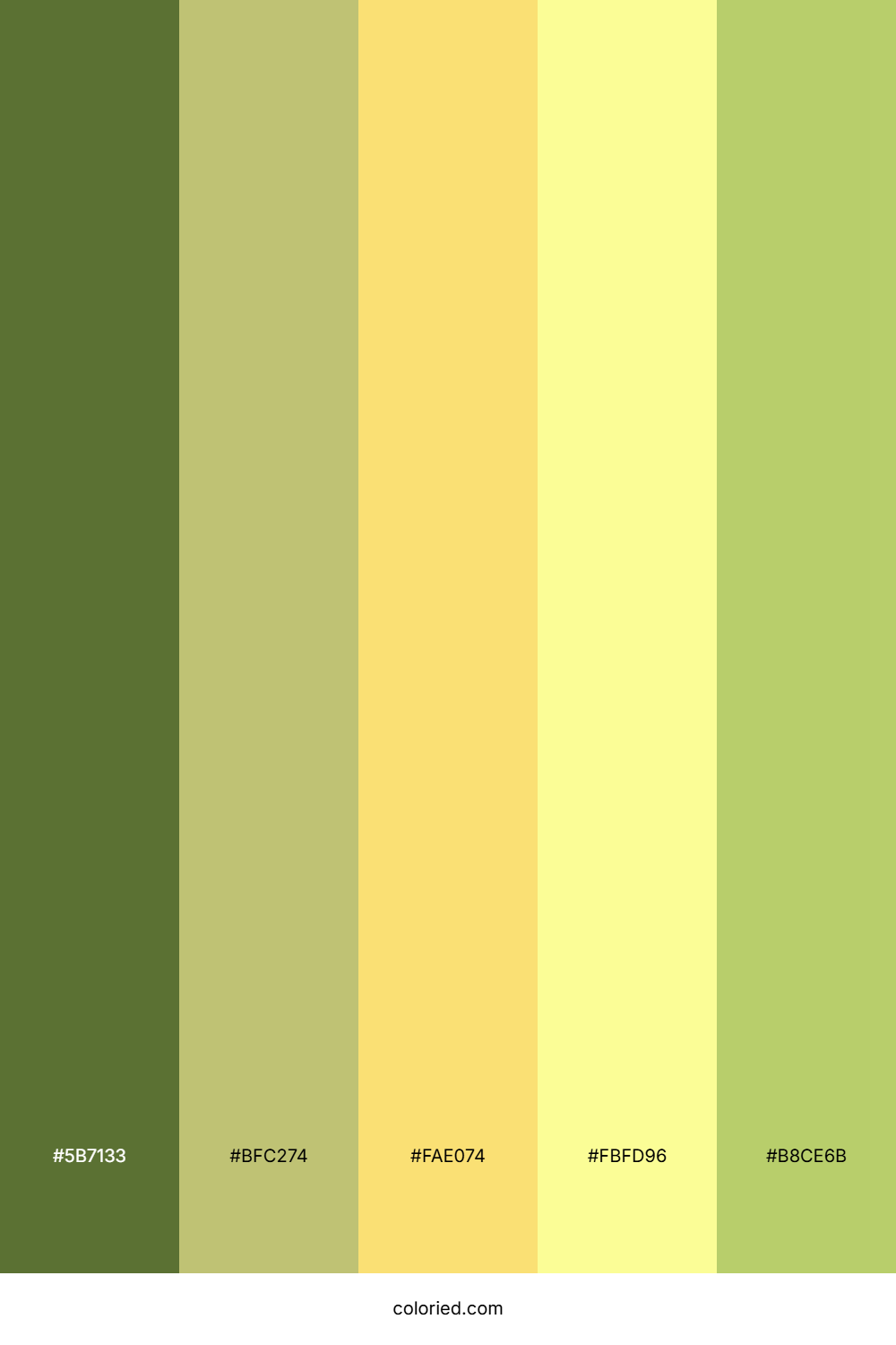 Olive and Butter Color Palette