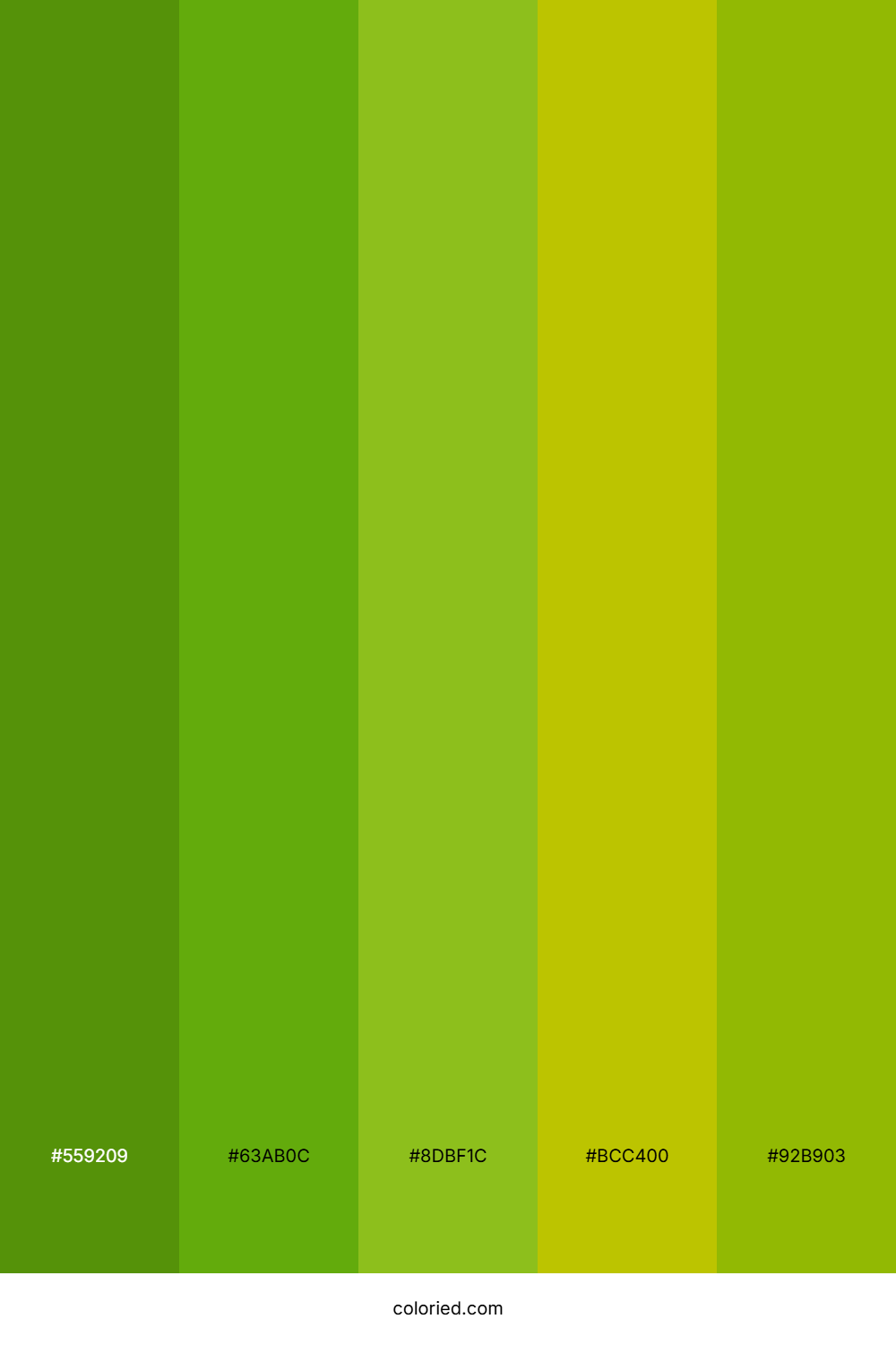 Olive And Lime Color Palette