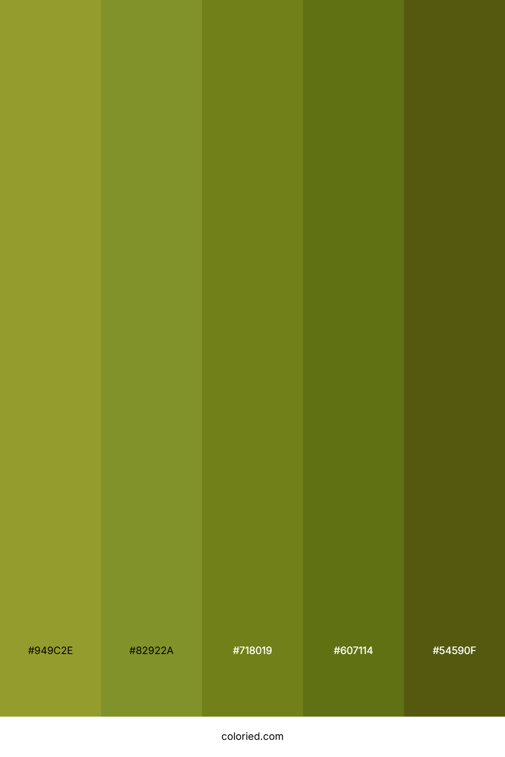 Olive And Moss Color Palette