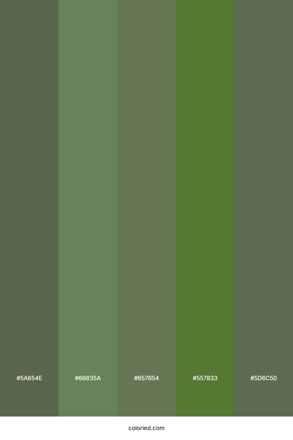 Olive and Moss Green Color Palette