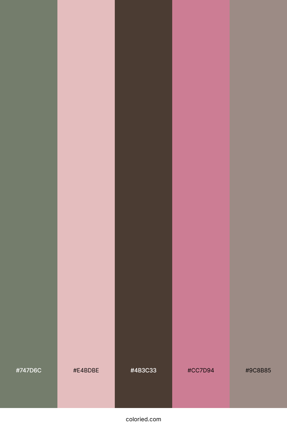 Olive Ashwood Bloom Color Palette