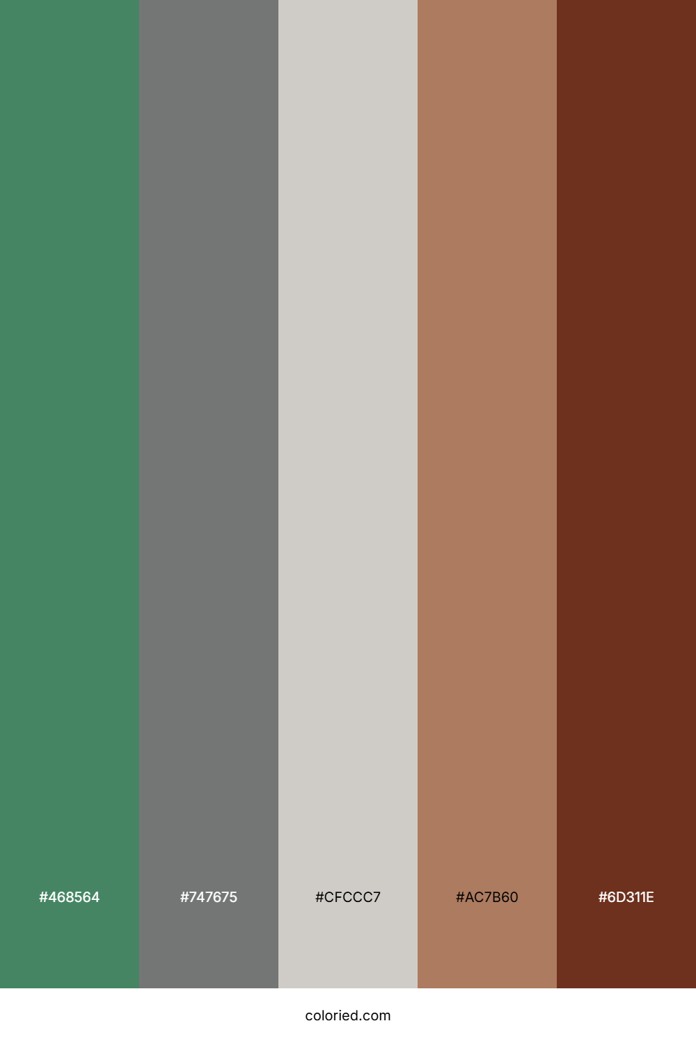 Olive Bark Sunset Color Palette