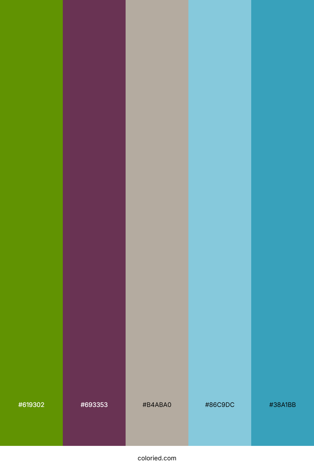 Olive Berry Sea Palette