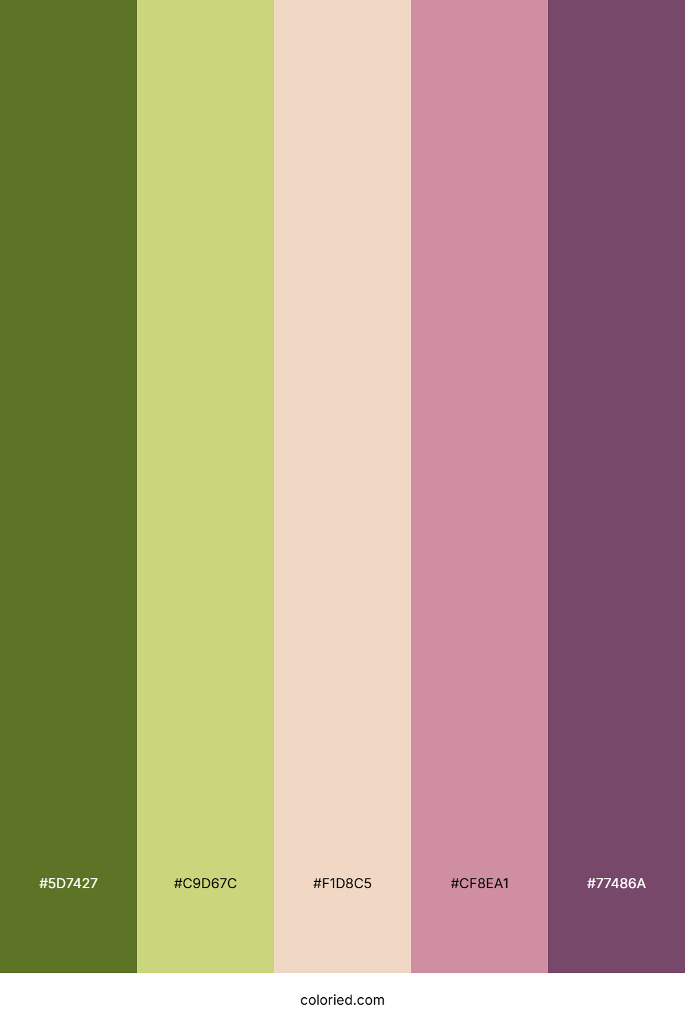 Olive Blush Lavender Color Palette