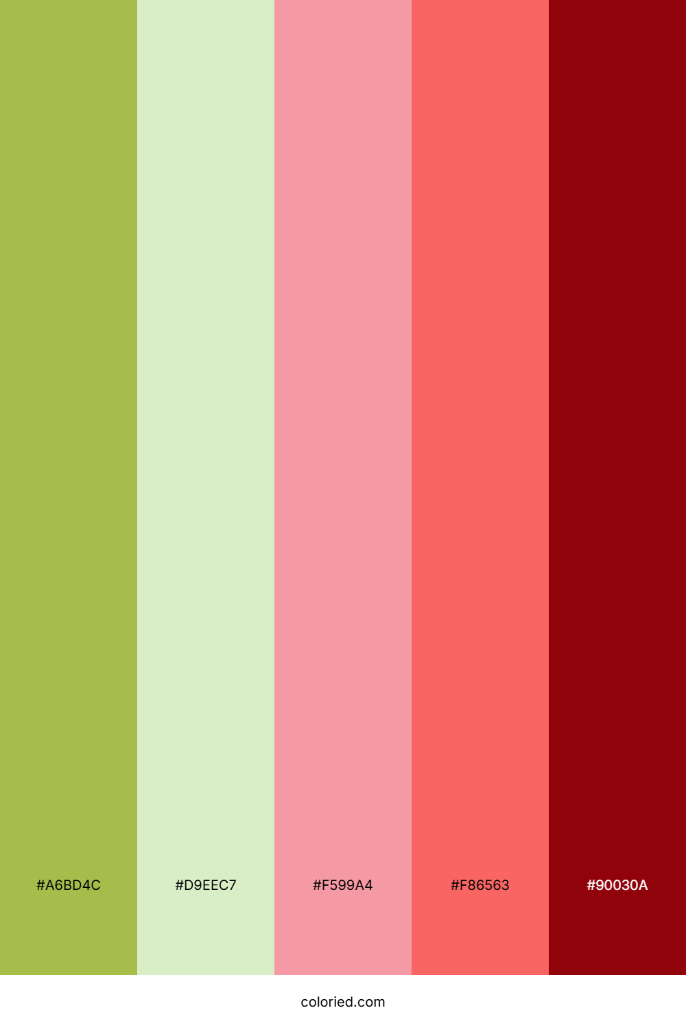 Olive Blush Radiance Color Palette