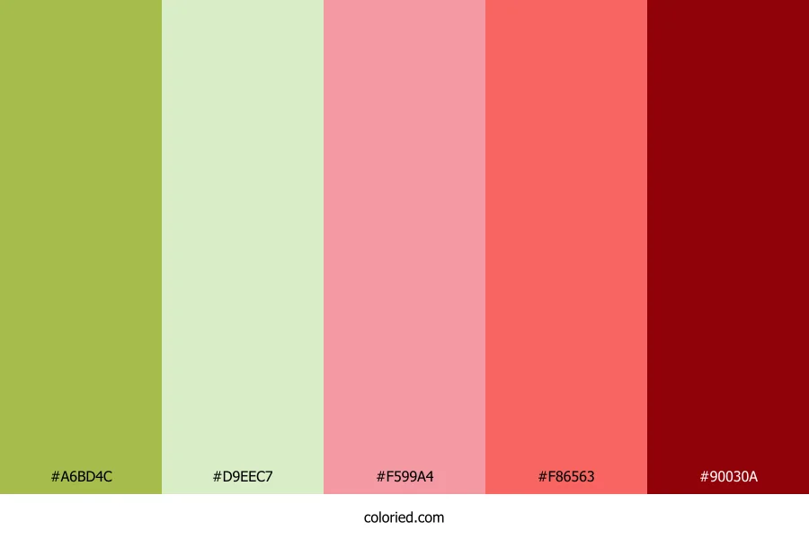 Olive Blush Radiance Color Palette